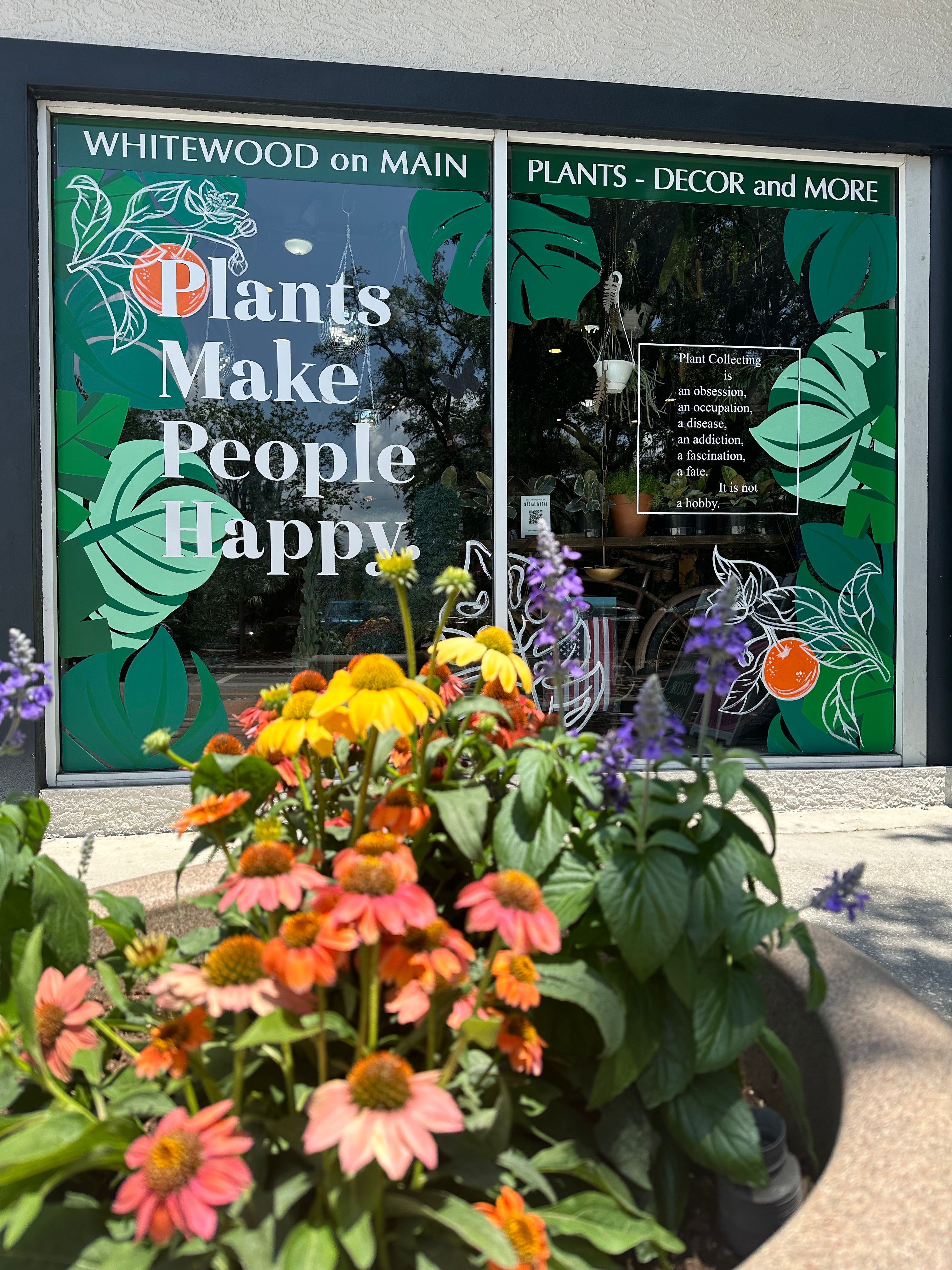 WhiteWood on Main | Safety Harbor FL